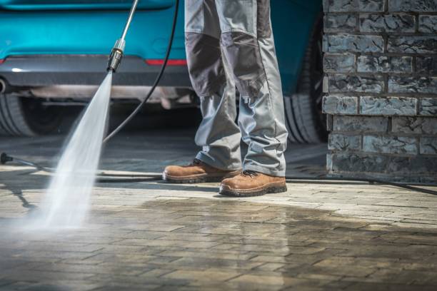 Best Soft Washing  in Port Norris, NJ